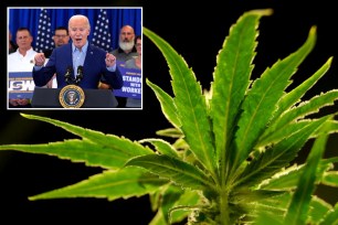 The U.S. Drug Enforcement Administration will move to reclassify marijuana as a less dangerous drug, The Associated Press has learned.