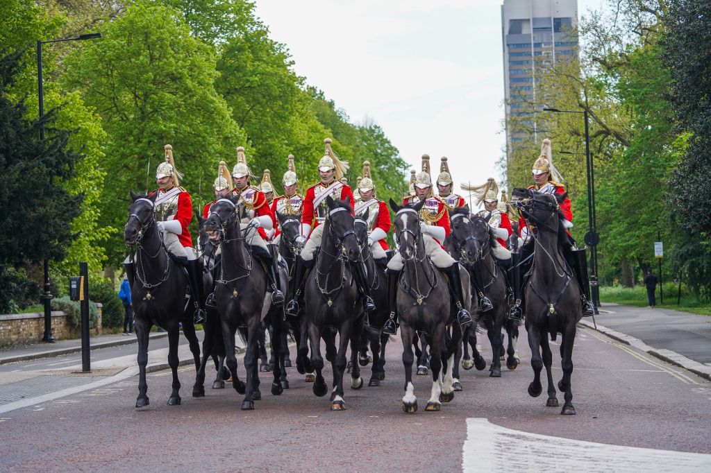 A number of horses, including one soaked in blood, ran amok through London Wednesday.