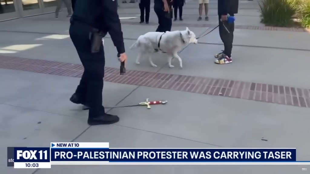 During the heated clashes on campus, police also found a sword near a man walking his dog, who was detained.