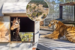 Two private zoos in North Carolina are listed for sale. 