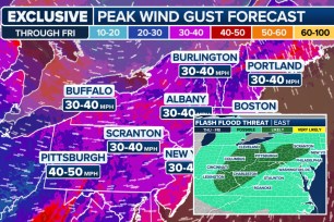 Wind gust forecast