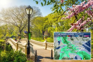 A bridge in Central Park with a lamp post and surrounding trees