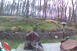The shaky clip shows the wooded backyard of Jeremy Godwin’s home in Morristown as the 4.8-magnitude temblor struck.