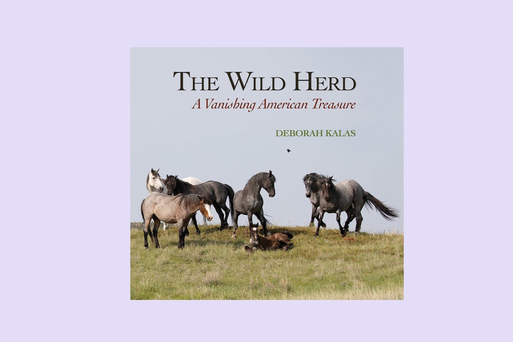 Image of "The Wild Herd." a book about horses.