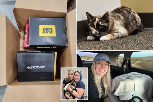 A Utah cat is back with her family after traveling to California in an Amazon return box.