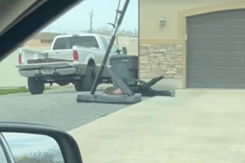 cop tackles pig