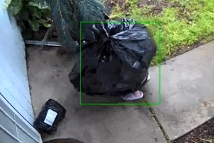 Porch pirate disguised as trash bag caught on video stealing packages from home.
