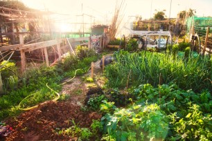 farm living off the grid