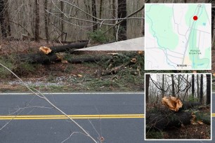 tree and map of fatal accident