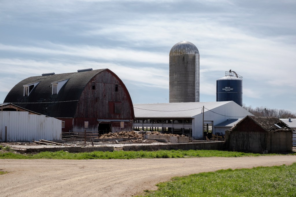 Image of a dairy farm