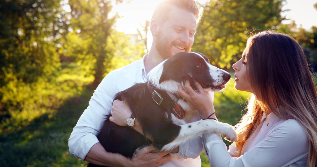 Young couple walking and holding their dog in a park