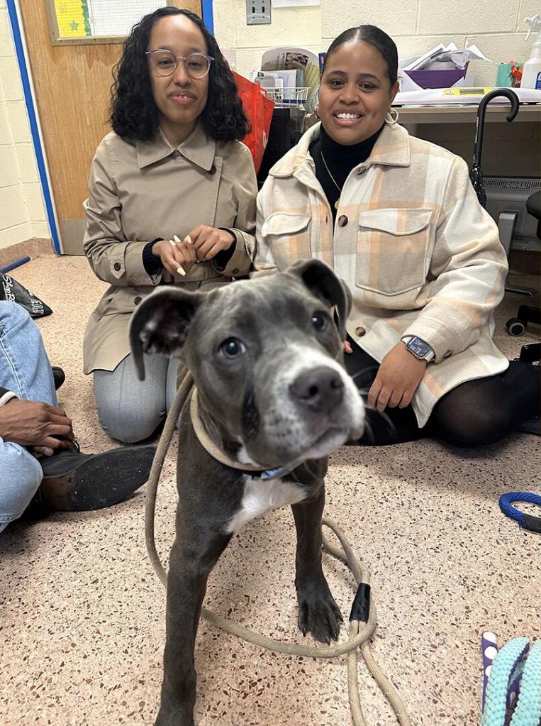 A group of women sitting on the floor with Minerva, a 5-month-old dog that was previously abandoned outside a Pennsylvania animal shelter.