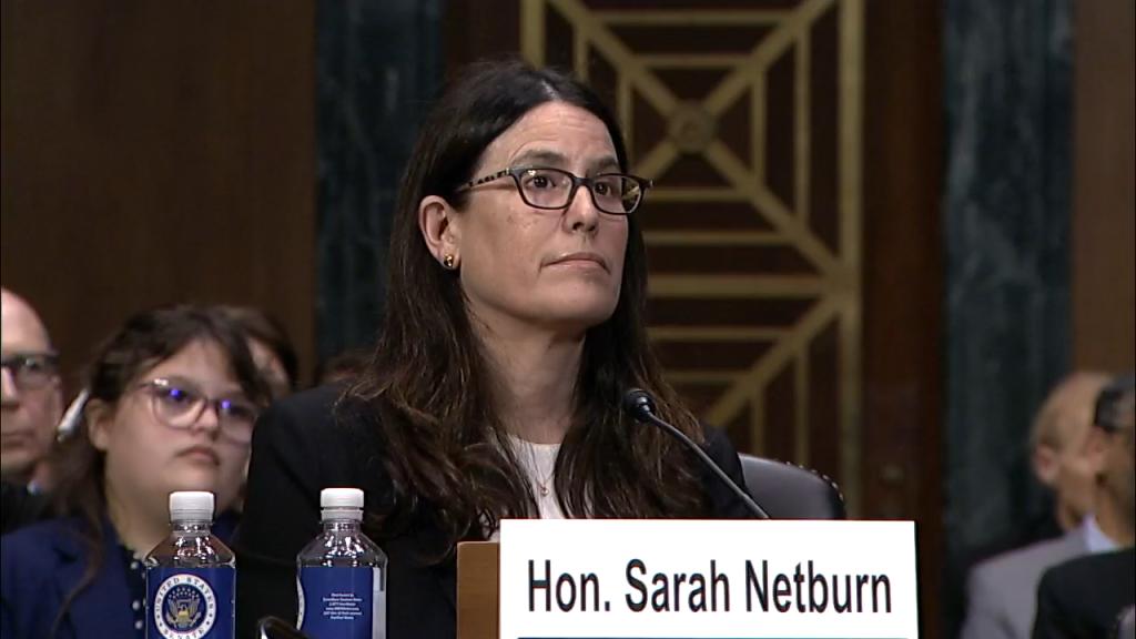 Netburn maintained that she "looked at the facts that were before me in this case."