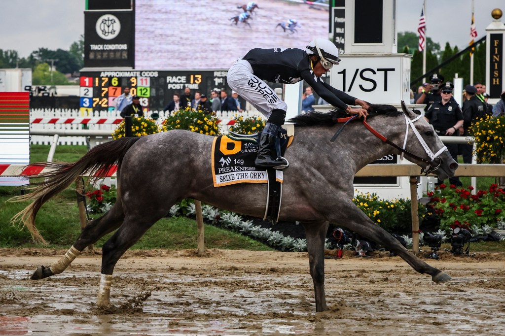 Jockey Jaime Torres riding Seize the Grey #6 wins the 149th running of the Preakness Stakes at Pimlico Race Course