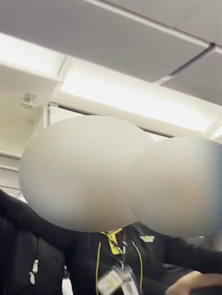 A flight attendant jumped in between the men to try and stop the fight.