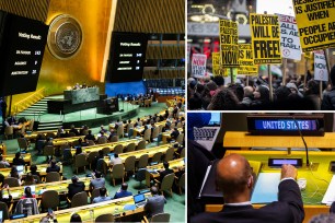 United Nations chamber, protesters holding protesters at a pro-Palestinian demonstration, Deputy US Ambassador to the UN Robert Wood voting at the UN