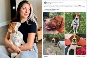 Kristie Pereira, 32, was shocked to find out that the sick dog she took to be euthanized was back at the shelter and up for adoption a year later.