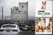 Denver residents have filed a lawsuit against Nestle-Purina Petcare over the terrible smell emanating from its Denver factory.