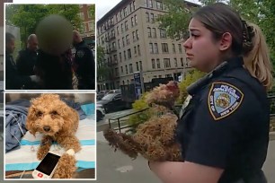 Owner Cleopatra Morgan, 26, told police she had tossed the 1-year-old mini poodle, Rocket, off a ledge at Highbridge Park at Edgecombe Avenue and West 165th Street in Washington Heights when she called 911 around 1:30 p.m. May 16, according to cops and the ASPCA.