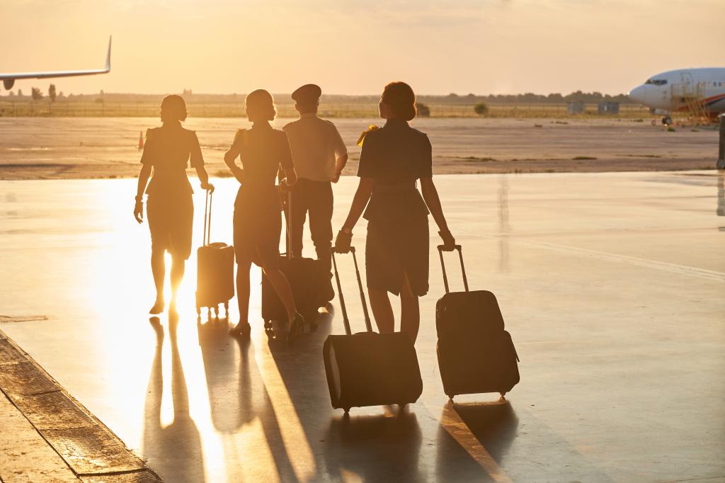 Flight attendants are a major risk for moving drugs internationally, experts warn.