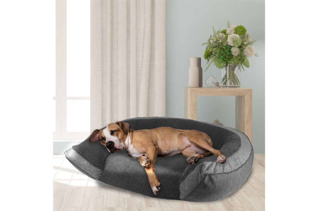 Canine Creations by Arlee Orthopedic Chew Resistant Eco-Friendly Memory Foam Bolster Dog & Cat Bed