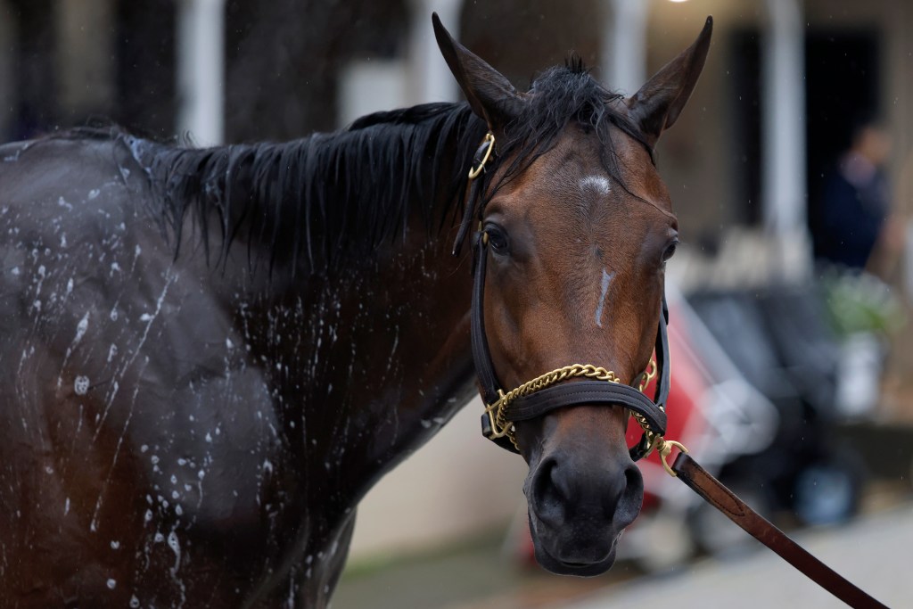 Kentuck Derby favorite, is washed outside his Churchill Downs barn Friday before Saturday's race.