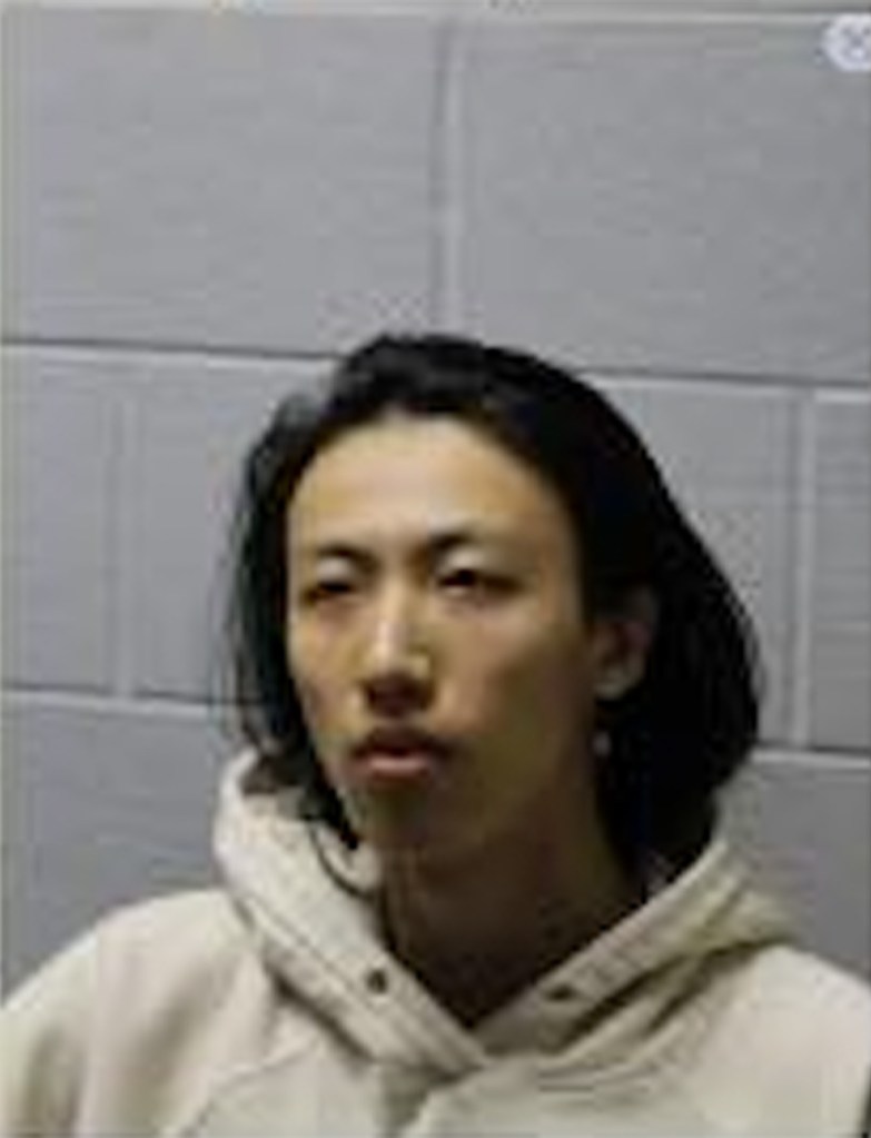 Taeyoung Kim was arrested and hit with several charges including reckless homicide and aggravated DUI resulting in death.