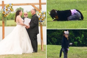 Wedding goers were freaked out by a human pretending to be a cat who disrupted the ceremony.