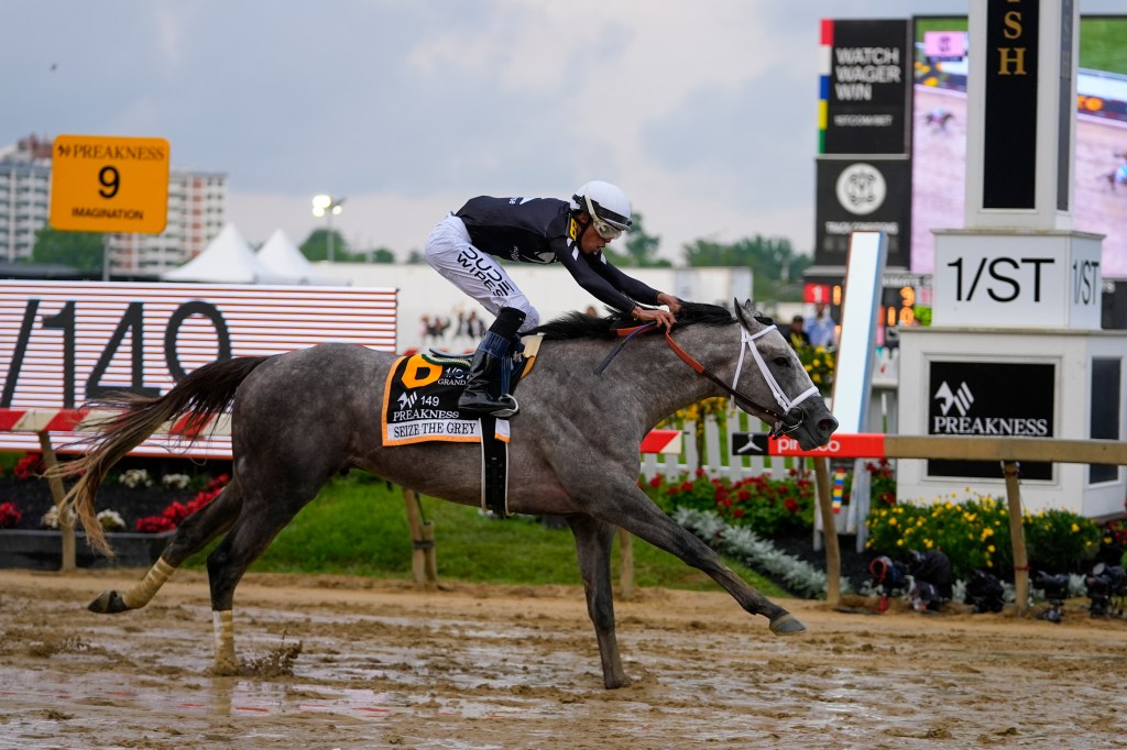 Jaime Torres, atop Seize The Grey, crosses the finish line to win the Preakness Stakes horse race at Pimlico Race Course