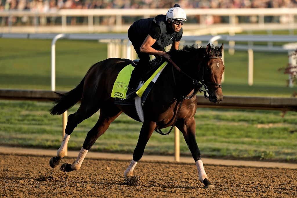 Sierra Leone works out at Churchill Downs Wednesday in preparation for Saturday's Kentucky Derby.