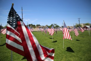 American flags fluttering in the breeze at the 12th annual Healing Field flag display at the Boys & Girls Clubs of Farmington during a Memorial Day weekend event