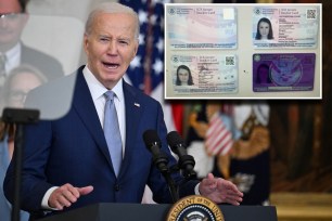 Joe Biden, ICE ID cards
