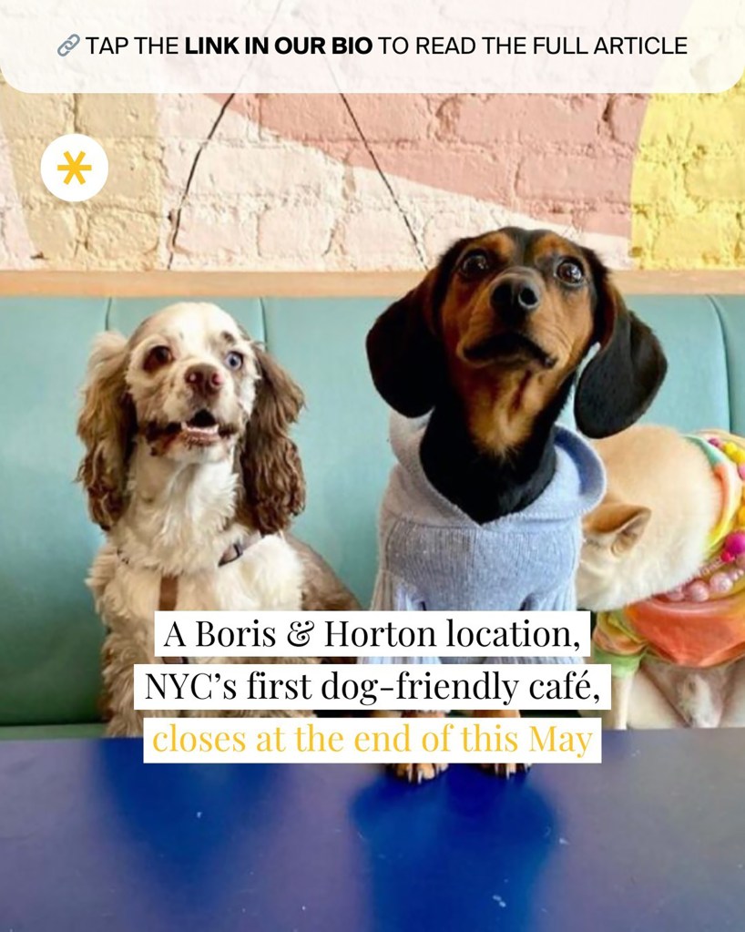 screenshot of Secret NYC article about Boris & Horton Williamsburg location closing which features picture of two dogs