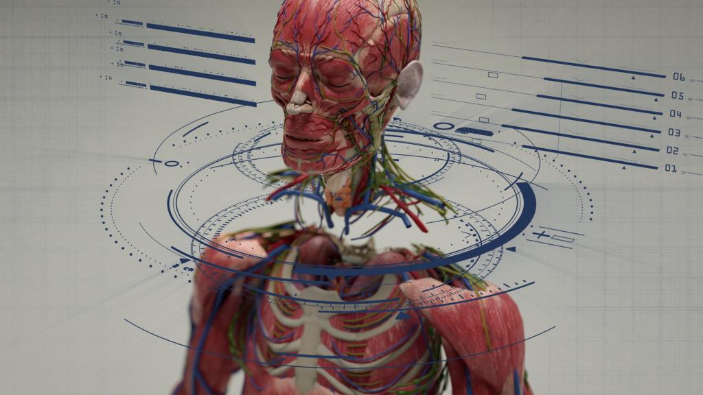 Digital illustration of the BrainBridgehead transplant process, showcasing a human body with visible muscles and veins in relation to a groundbreaking head transplant procedure