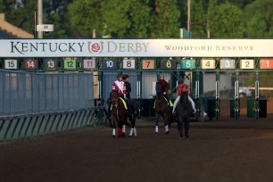 E, KENTUCKY - MAY 02: Forever Young and T O Password walk on the track during morning workouts ahead of the 150th running of the Kentucky Derby at Churchill Downs on May 02, 2024 in Louisville, Kentucky.