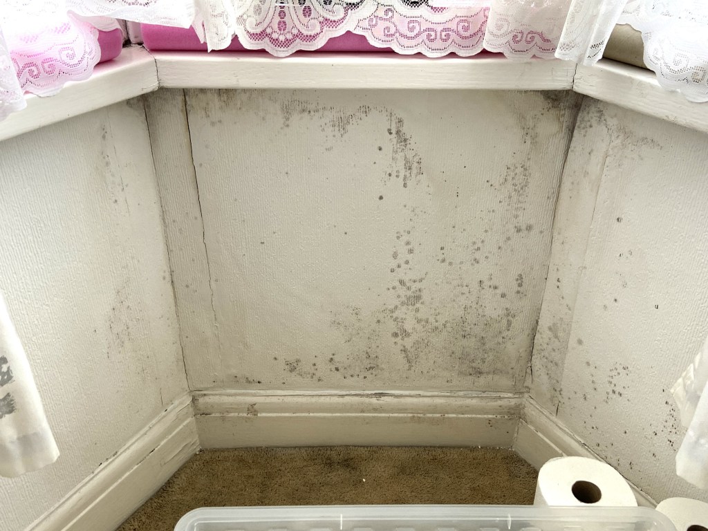 Elderly woman Hazel in mouldy, bug-infested London home with water damage and lingering smell of urine