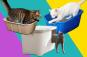 The 10 best litter boxes, tested by us (and our cats)