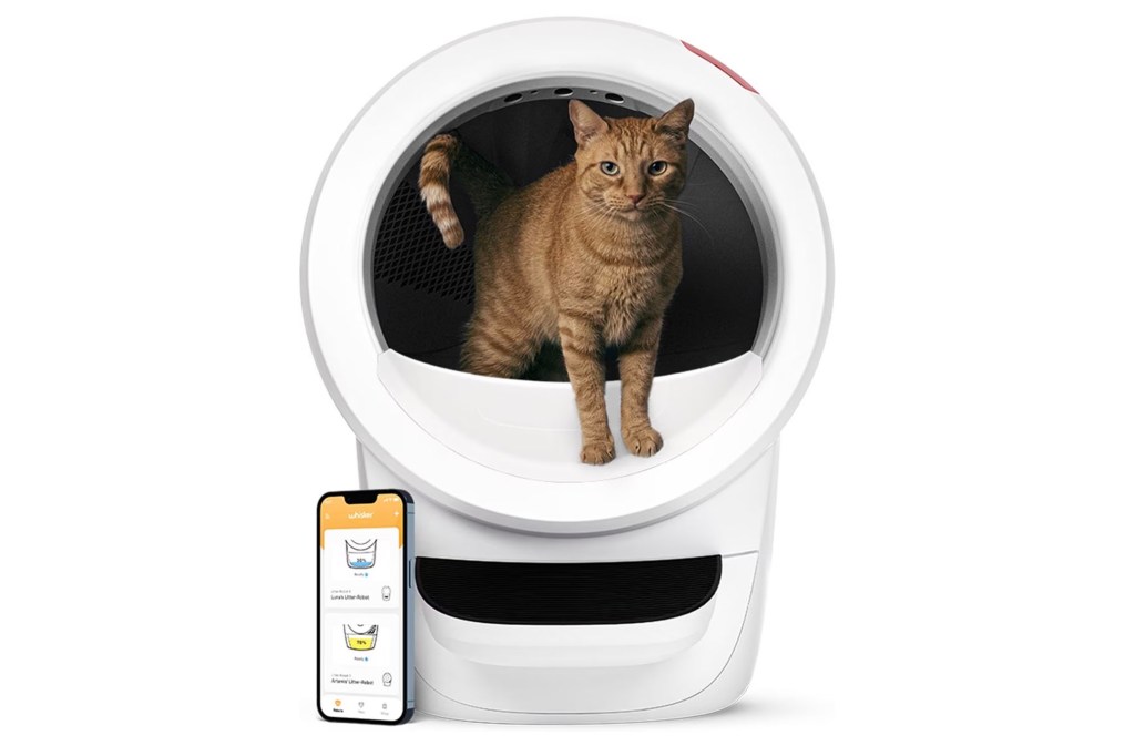 A cat inside a litter robot