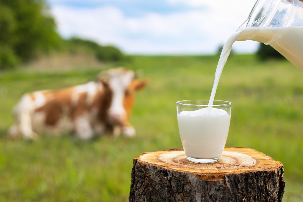 "Cow’s milk tops the list in terms of nutrition," Natalie Rizzo, author of "Planted Performance," wrote Wednesday for Today.com.