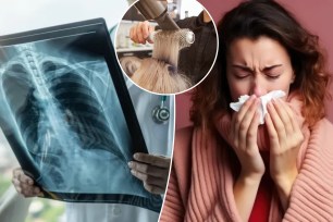 An industrial disease law firm is revealing the 11 types of employees it claims are at higher risk for asthma due to frequent exposure to irritants — including hairdressers and animal handlers.