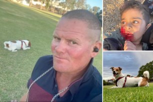 The owner of a dog that attacked a young boy in Adelaide has admitted he “panicked” and fled the scene.