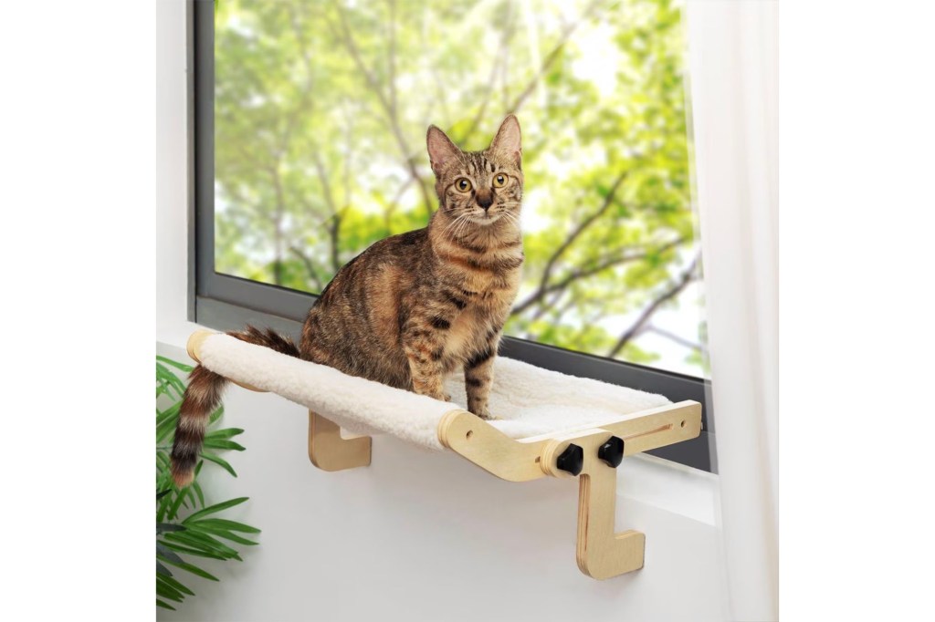 A cat sitting on a cat perch