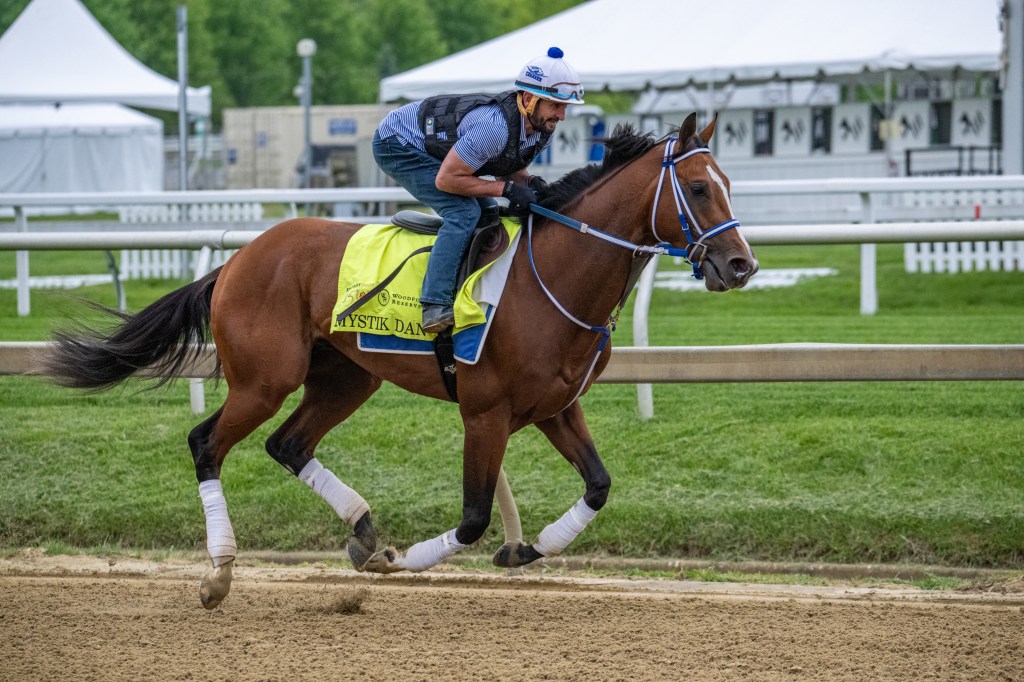 Kentucky Derby winner Mystik Dan works out on the Pimlico track Tuesday morning in preparation for this Saturday's Preakness Stakes.