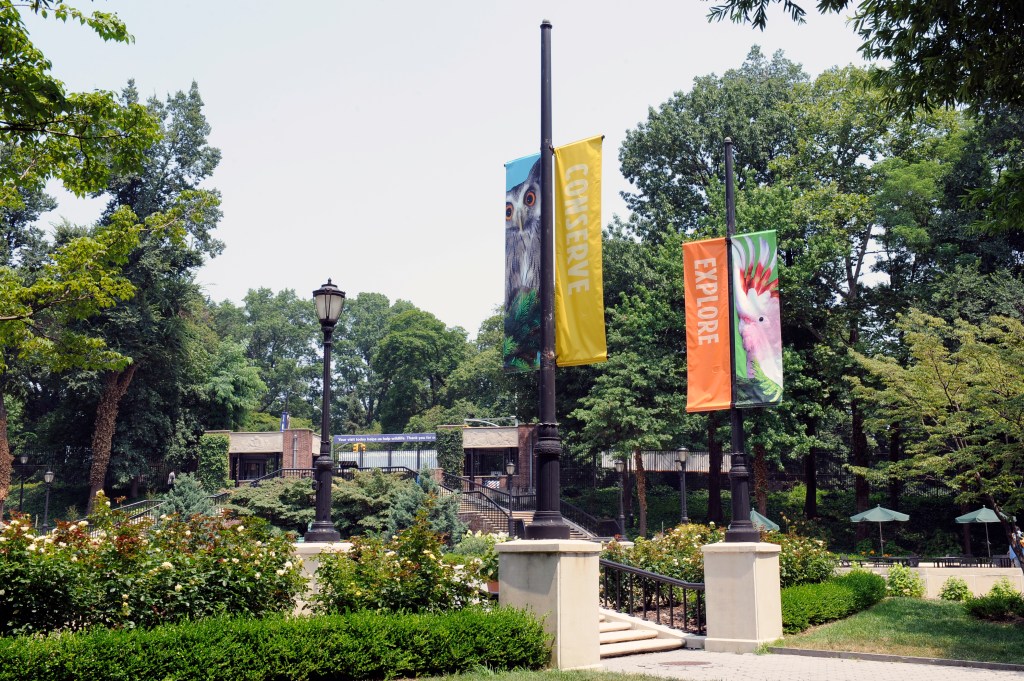 Flags on poles in Prospect Park Zoo, undergoing a multi-year renovation project costing over $20 million