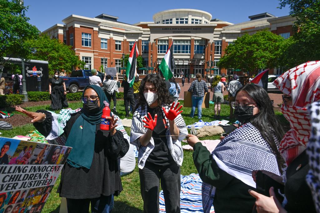 Anti-Israeli protesters at UNC-Chapel Hill.
