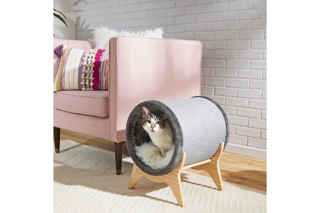 A cat inside a round tunnel