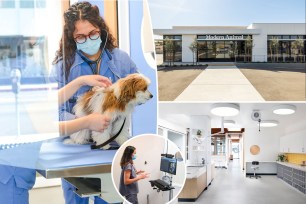 Pet parents are opting for a new kind of vet clinic, one with an app and minimalist decor. (Think: One Medical for cats and dogs.)