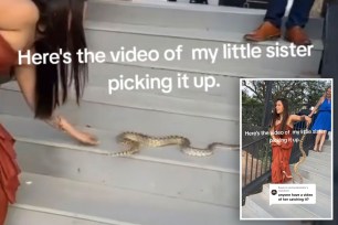 Woman goes viral for disposing of snake