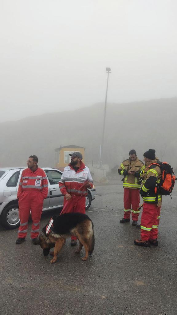 Rescue teams work with a canine unit following the helicopter crash.