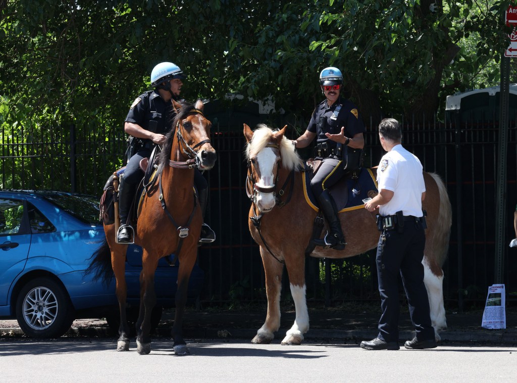 Cops on horseback in Kissena Park talk to a boss.